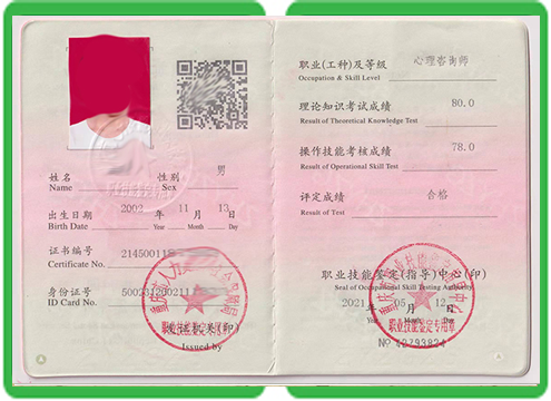 仿真大专文凭制作流程实操指南：从零掌握核心步骤